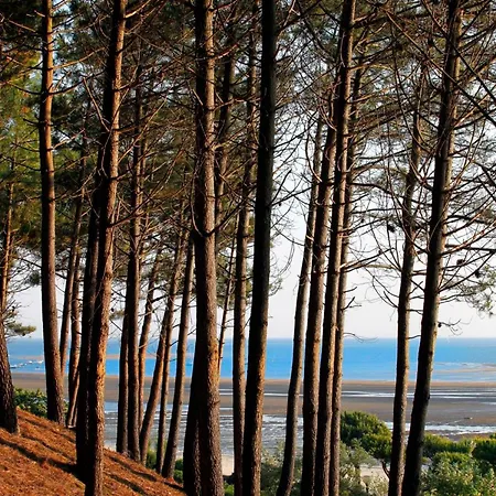 T2 35m2 Au Port D'arcachon Avec Balcon Et Parking Securise - Fr-1-420-28 Apartment Arcachon